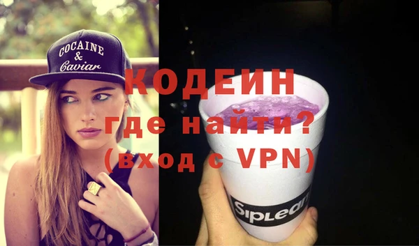 крисы Бородино
