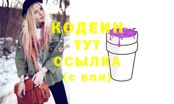 крисы Бородино