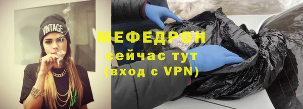крисы Бородино