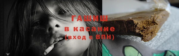 крисы Бородино