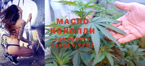 крисы Бородино