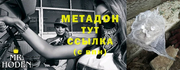 крисы Бородино