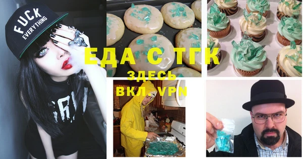 крисы Бородино