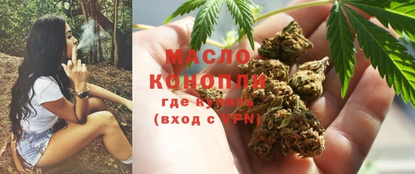 крисы Бородино