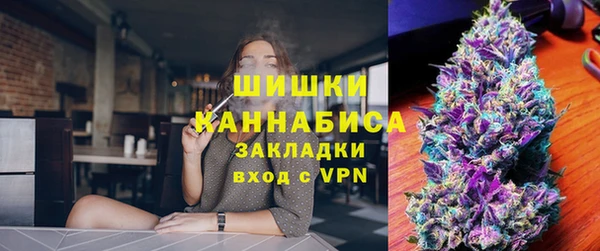 крисы Бородино