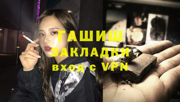 крисы Бородино