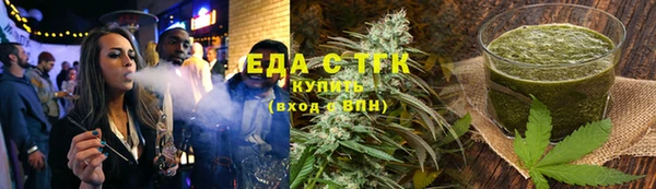 крисы Бородино