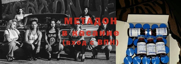 крисы Бородино