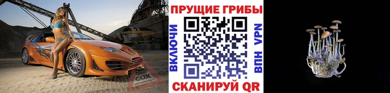 OMG зеркало  Александровское  Псилоцибиновые грибы мухоморы 